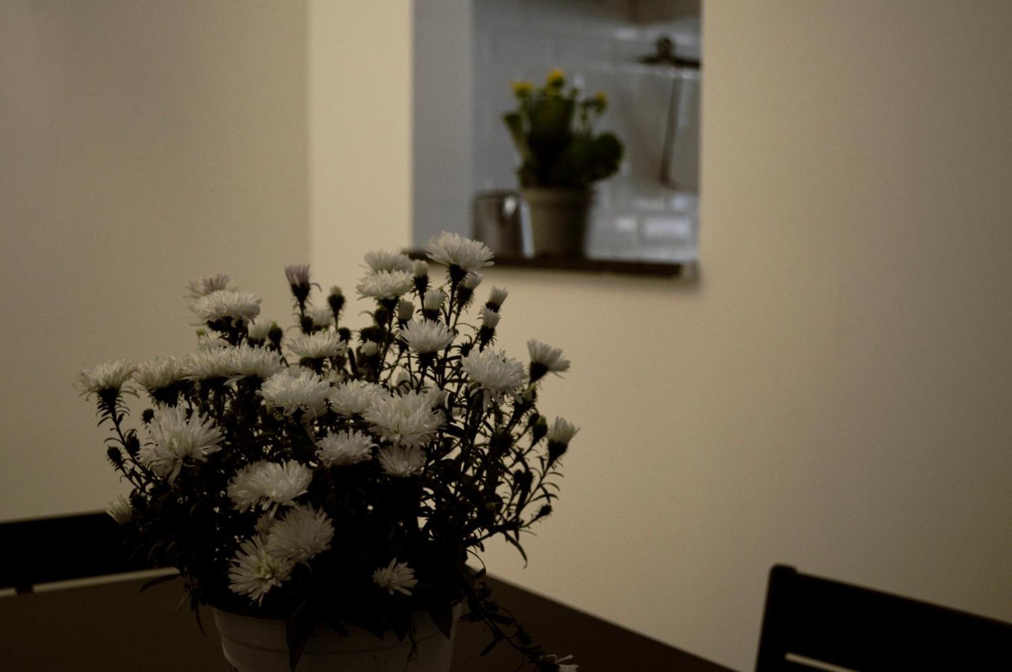 Pietra Papa Apartamento Roma